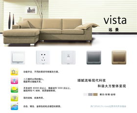 遠(yuǎn)景金棕四位雙控大蹺板開(kāi)關(guān) 無(wú)熒光指示 特價(jià)36.23元包郵